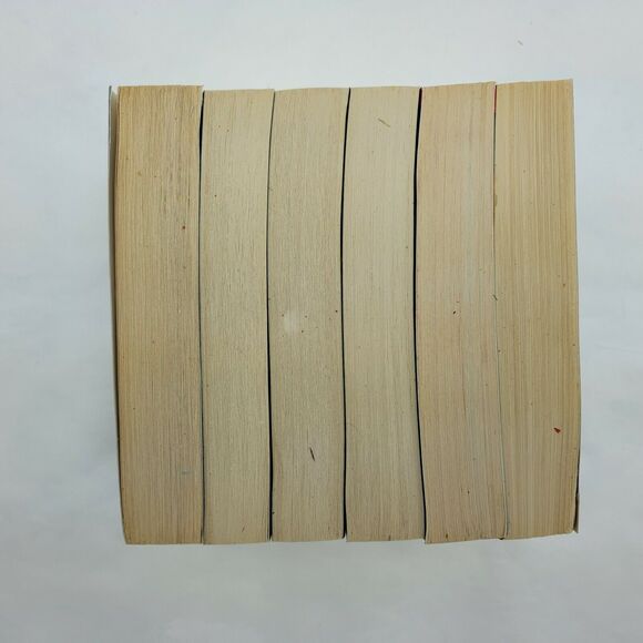 The Left Behind Gift Collection Volumes 1-6 Paperback Books Boxed Set - Picture 11 of 12